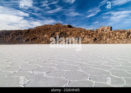 Isla Incahuasi (Isla del Pescado) in the middle of the world's biggest salt plain Salar de Uyuni, Bolivia Stock Photo