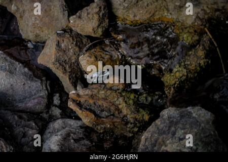Take a close look at the rocks in nature Stock Photo