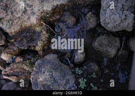 Take a close look at the rocks in nature Stock Photo