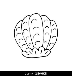 Contour. Shell. Marine theme icon in hand draw style. Cute childish illustration of sea life. Icon, badge, sticker, print for clothes Stock Vector
