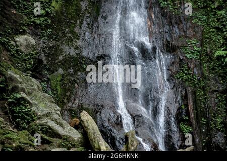 Take a close look at the waterfall in the interior of the forest Stock Photo