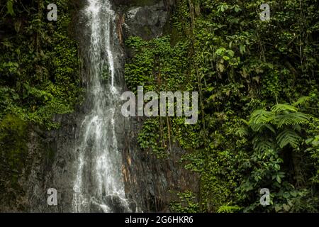 Take a close look at the waterfall in the interior of the forest Stock Photo