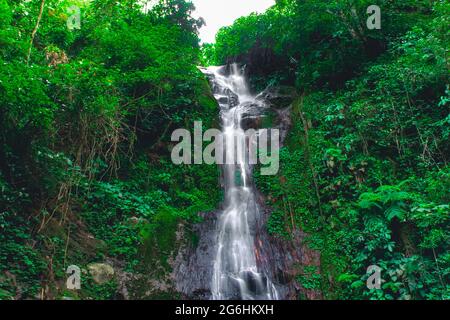 Take a close look at the waterfall in the interior of the forest Stock Photo