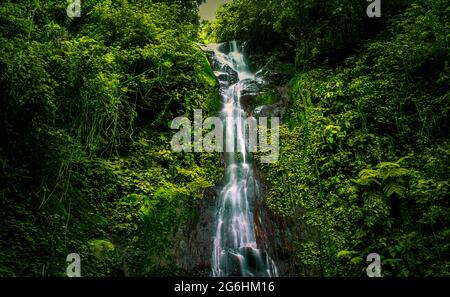 Take a close look at the waterfall in the interior of the forest Stock Photo