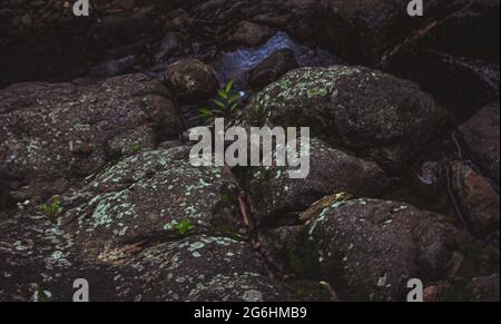 Take a close look at the rocks in nature Stock Photo