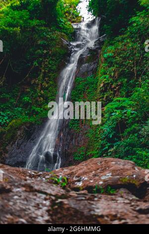 Take a close look at the waterfall in the interior of the forest Stock Photo