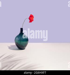 Turquoise vase and one bright red flower  pastel purple background. Summer palm leaf shadows. Interior wall or table decoration. Minimal style. Stock Photo