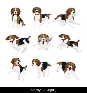 Vector illustration set of cute and funny beagle dog, lively actions, playing, jumping dogs in flat design. Stock Vector