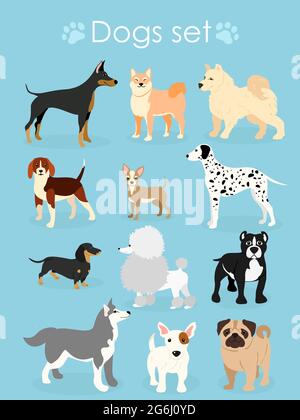 Vector illustration, set of funny purebred dogs, on a light blue background. Stock Vector