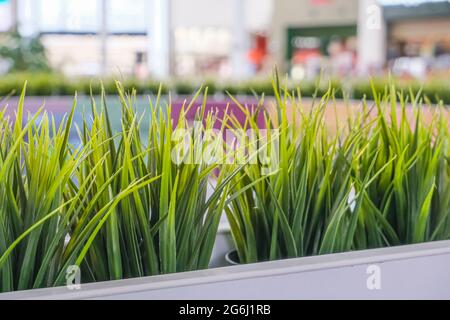 The use of decorative grass in interior design. Green fake lawn grass in the shopping center. High quality photo Stock Photo