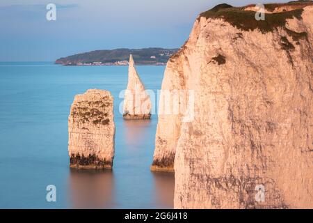 Sunset or sunrise golden hour light over seascape landscape of the white chalk cliffs and sea stacks of Old Harry Rocks on the Jurassic Coast in Dorse Stock Photo