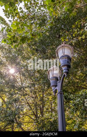 Morning sunrise beaming through the trees highlighting the ornate decorative streetlamps along the park Stock Photo