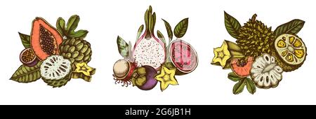 Composition design of colored papaya, guava, passion fruit, starfruit, durian, rambutan, pitaya, jackfruit, sugar-apple, soursop, mangosteen Stock Vector