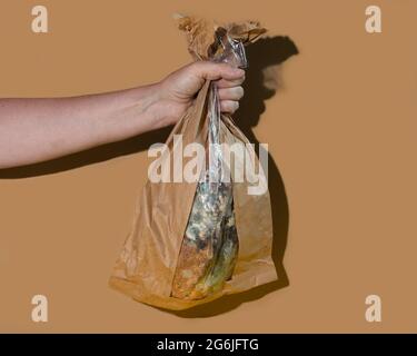 Green moldy bread on plastic wrap. Food waste concept. Minimalist style. Stock Photo