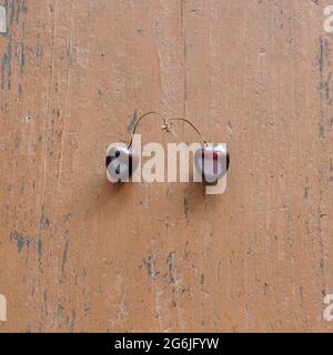 Two cherries on the table. Two romantic cherries are intertwined with their twigs. Stock Photo