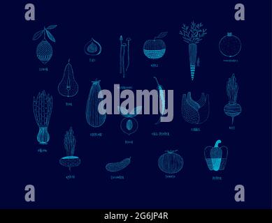 Fruits and vegetables in hand drawn ornament style lemon, pear, figs, mushrooms, apple, carrot, pomegranate, onion, eggplant, peach, chili pepper, fen Stock Vector