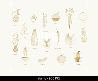Fruits and vegetables in hand drawn ornament style lemon, pear, figs, mushrooms, apple, carrot, pomegranate, onion, eggplant, peach, chili pepper, fen Stock Vector