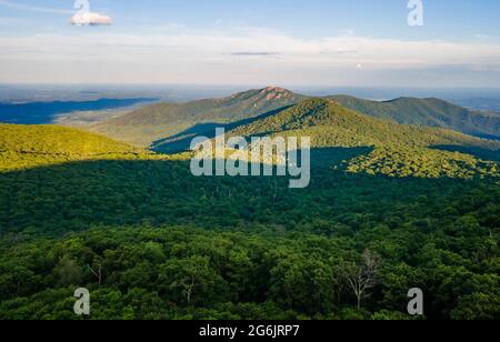 Scenic aerial view of a blue lake with pine trees coast line in summer Stock Photo