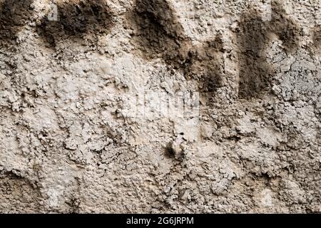 The texture of old gray concrete walls for background, Surface, and pattern of gray cement. Stock Photo