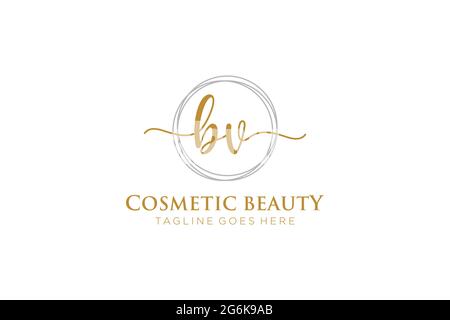 BV Feminine logo beauty monogram and elegant logo design, handwriting logo of initial signature, wedding, fashion, floral and botanical with creative Stock Vector