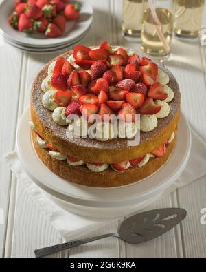 Strawberry sponge. Stock Photo