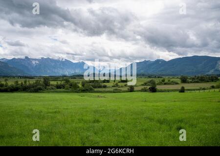 View of the Murnauer Moos on the Staffelsee with green meadow in the foreground, mountains in the background, cloudy sky Stock Photo
