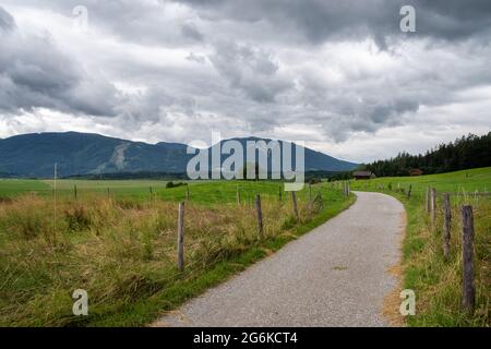 View into the Murnauer Moos at the Staffelsee with footpath in the foreground and cloudy sky Stock Photo