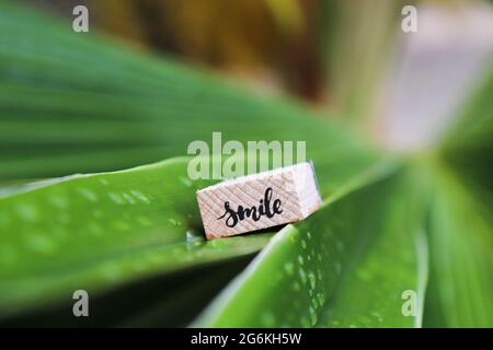 Palm leaf with raindrops. Woden cube with word SMILE on palm leaf. Stock Photo