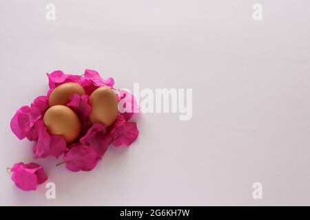 Eggs in a flower nest. On a white background with a space for text.  Stock Photo
