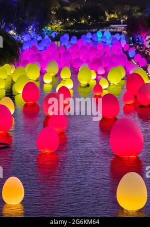 Singapore - Feb 25, 2020. Neon eggs float on water in Dragonfly lake, Gardens by the bay. Temporary event Future Together by Japanese art teamLab. Stock Photo