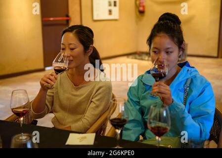 A tourist at a wine tasting at the Oller del Mas winery, near Manresa (Bages, Barcelona, Catalonia, Spain) ESP: Un turista en una cata de vinos Stock Photo