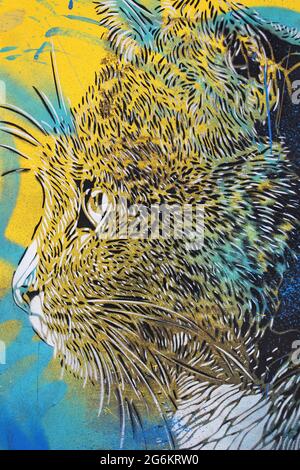 Cat Art Painted On A Maroc Post Box in Rabat, Morocco Stock Photo