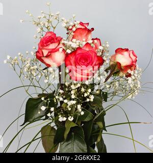 Beautiful bouquet of cut roses in vase. Stock Photo