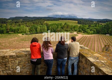 Views from the tower of L'Oller del Mas castle overlooking vineyards, Pla de Bages plain and Montserrat mountain in the background (Barcelona, Spain) Stock Photo