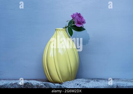 Pink rose from the garden in a yellow vase standing on stone floor Stock Photo