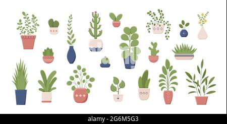 Set of houseplants in pots vector flat illustration. Collection of various plant in ceramic container. Colorful greenery with leaves for home growing. Stock Vector