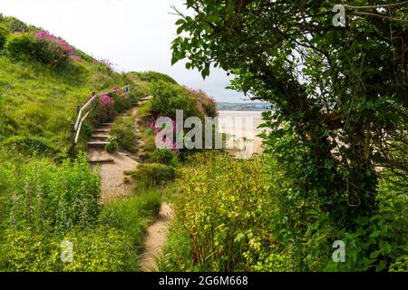 Looking across to Padstow from the sand dunes near Rock village, North Cornwall, UK Stock Photo