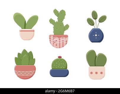 Set of decorative house plants in pots isolated on white background. Interior plant, vector, flat icon design. Cactus, flower, small tree. Vector illu Stock Vector