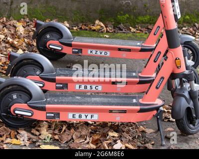 Row of segway electric Scooters for hire parked among autumn fallen leaves Stock Photo