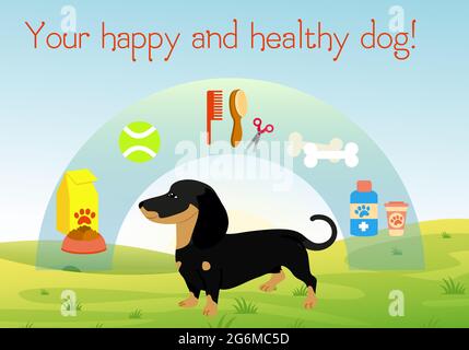 Vector illustration dog on green grass with set of accessories for dogs. Collection of pet symbol. Healthy and happy dog concept in flat cartoon style Stock Vector