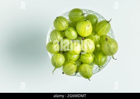 Freshly harvested gooseberries in glass bowl on plain background Stock Photo