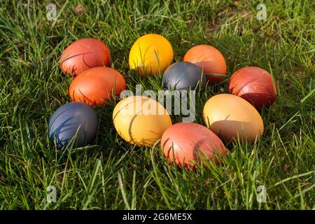 Easter eggs, dyed chicken eggs in the grass Stock Photo