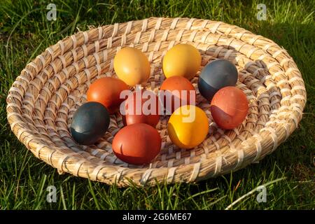 Easter eggs, coloured hen eggs in a wicker basket Stock Photo