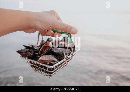 a hand holds a certain amount of fresh raw mussels in a consumer basket on the seashore. Stock Photo