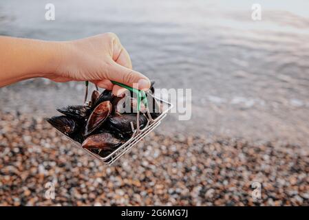 a hand holds a certain amount of fresh raw mussels in a consumer basket on the seashore. Stock Photo