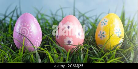 Decorated Easter Eggs Hiding in the Grass on a Beautiful Spring Day Stock Photo