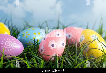 Decorated Easter Eggs Hiding in the Grass on a Beautiful Spring Day Stock Photo