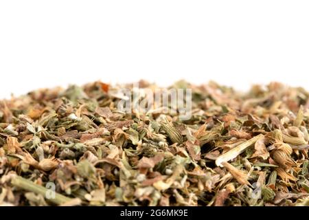 A Pile of Catnip on a White Background Stock Photo