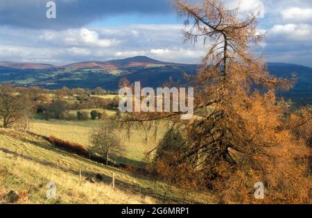 A landscape view of the Sugarloaf in the Black Mountains in winter South East Wales Stock Photo