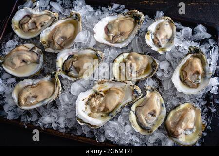 Raw Oysters on the Half Shell on a Bed of Crushed Ice: Shucked Atlantic oysters on a bed of crushed ice Stock Photo